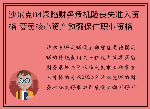 沙尔克04深陷财务危机险丧失准入资格 变卖核心资产勉强保住职业资格 沙尔克04深陷财务危机险丧失准入资格 变卖核心资产勉强保住职业资格